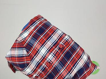 carry camel kurtka: Carry, Koszula damska, rozmiar XL — 5