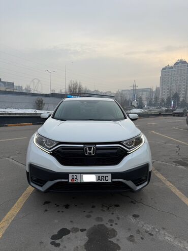Honda: Honda CR-V: 2019 г., 1.5 л, Вариатор, Бензин, Кроссовер — 1