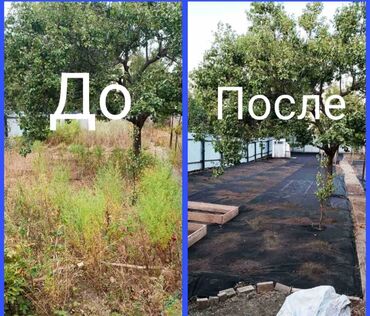 сколько стоит глина для строительства: Демонтаж любой сложности,капаем септики под слив траншеиа также