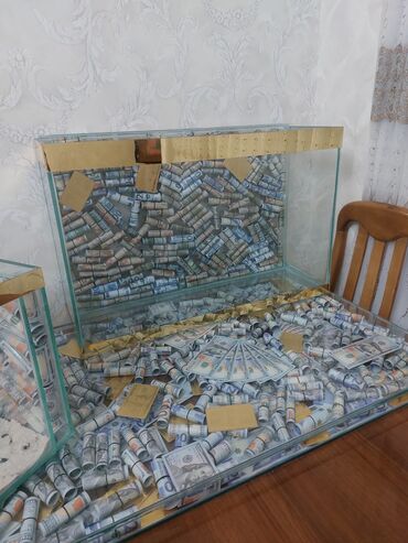 Akvariumlar: Dolar Akvaryum. 22 litir 40 man 35 litir. 60 man 80 litir 90 man Bu — 9