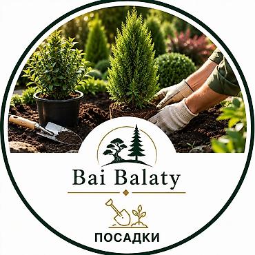 ландшафт: Ландшафтные услуги Bai Balaty - Ландшафтный дизайн: разработка — 8