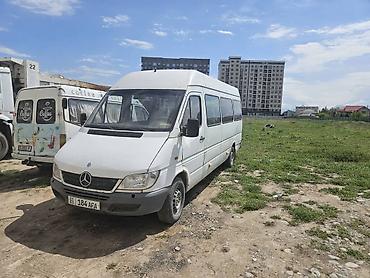 Mercedes-Benz: Mercedes-Benz Спринтер: 2000 г., Бус — 4