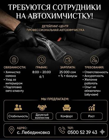 Требуется Детейлер - Химчистка, Процент от дохода, Без опыта, Обучение