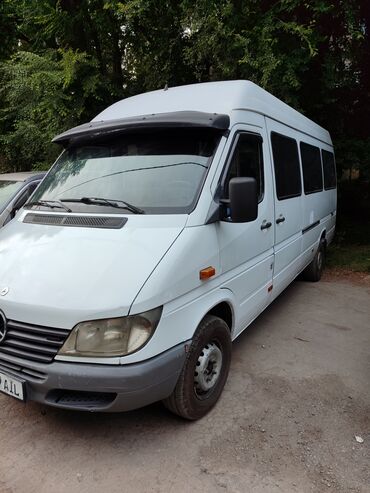 Mercedes-Benz: Mercedes-Benz Спринтер: 2003 г., 2.9 л, Механика, Дизель, Бус