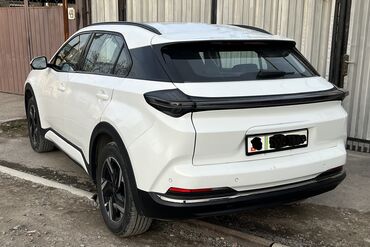 BYD: BYD : 2025 г., Электромобиль, Кроссовер — 4