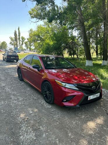 camry 50 американец: Toyota Camry: 2020 г., 2.5 л, Автомат, Бензин, Седан