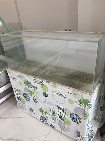 Şüşə akvarium və alt dolabı - Ölçü: təxminən iri həcmli düzbucaqlı