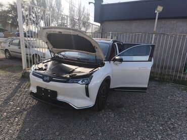 Weltmeister: Weltmeister W6, 2022 г., 53500 км, Передний, В наличии — 13