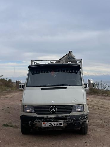 roewe i6: Легкий грузовик, Mercedes-Benz, Стандарт, 3 т, Б/у — 1