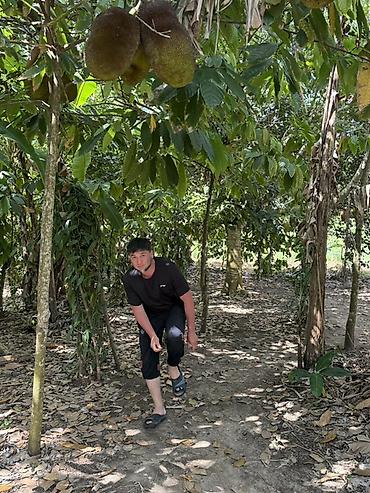 Honda: Honda Stepwgn: 2000 г., 2 л, Автомат, Минивэн — 10