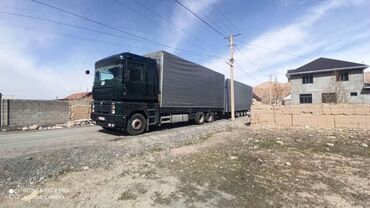 Прицепы и полуприцепы: Прицеп, Renault, Автовоз, от 12 т, Б/у