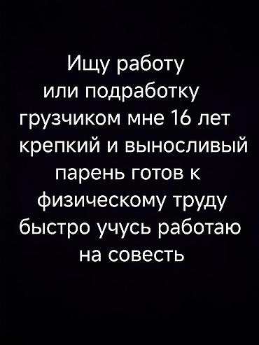 Грузчик. Без опыта