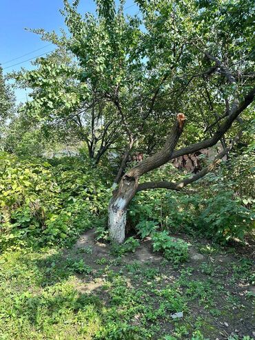 продаю дом сарбан: Дом, 83 м², 5 комнат, Агентство недвижимости, Косметический ремонт