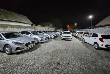 Kia: Kia K5: 2020 г., 2 л, Автомат, Газ, Седан — 3