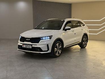 x 5: Kia Sorento: 2022 г., 1.6 л, Вариатор, Гибрид, Кроссовер — 2