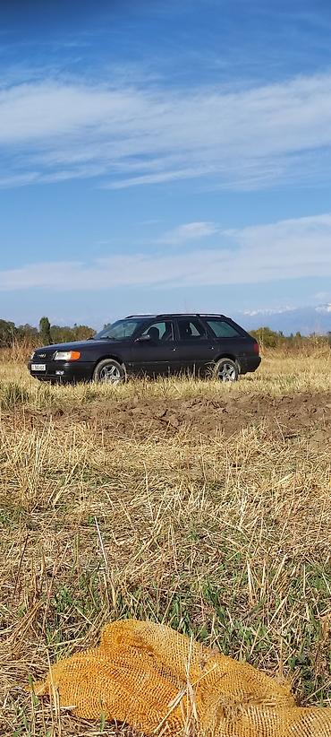 Audi: Audi 100: 1993 г., 2.6 л, Ручные, Бензин, Универсал — 6