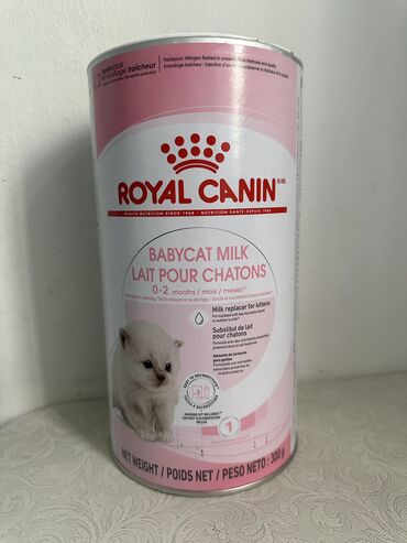 кот: Сухое молоко для котят Royal Canin Babycat Milk. 300г - мерная ложка