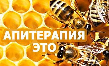 активные мониторы: АПИТЕРАПИЯ! Лечение пчелиным ядом: пчелиный яд обладает 50-ю — 2