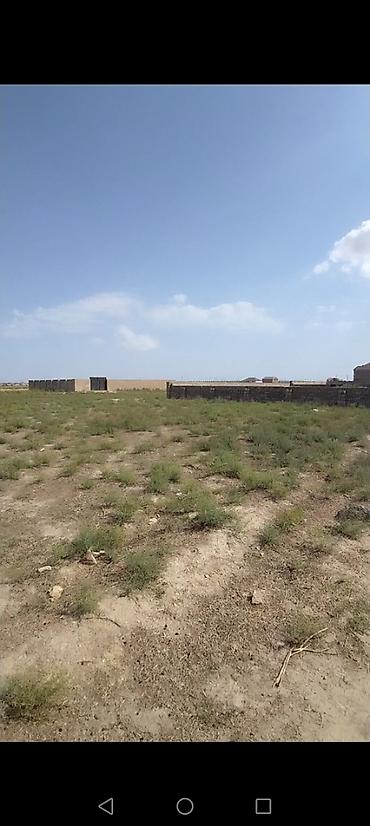 torpaa: 2 sot, Tikinti, Barter mümkündür, Kupça (Çıxarış) — 1
