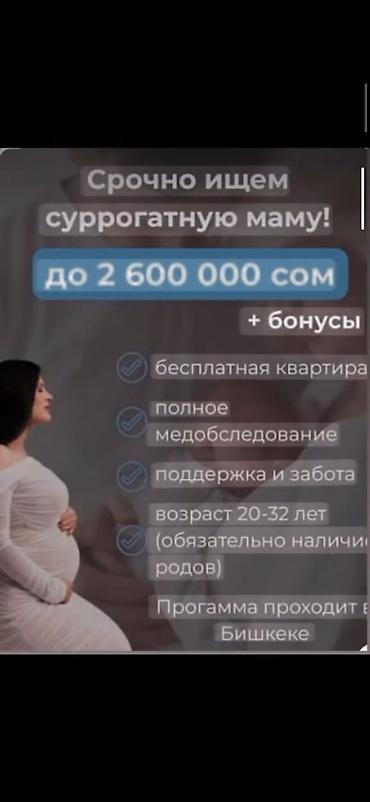 Тил курстары: Кыргыз тили курстары — 1