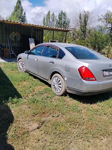 авто для такси: Nissan Teana: 2005 г., 2.3 л, Автомат, Бензин, Седан — 9