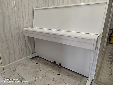 gitara akustik: Akkord upright piano – klassik ağ rəngdə, laklı örtük. - Korpus — 5