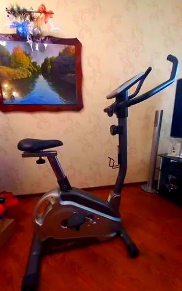 Беговые дорожки: Беговая дорожка Horizon Elite T3000 - Электрическая беговая дорожка — 5