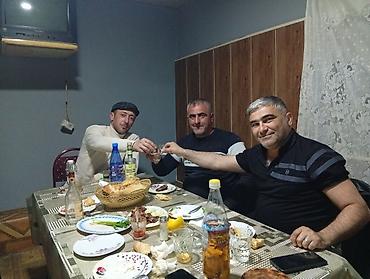 etlik cuceler: 7 aylıq erkək dana satıram 90 nan kox əti var sağlam yiyimgil maldı — 4
