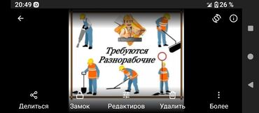 поле работа: Требуется Разнорабочий, Оплата Ежедневно, Без опыта