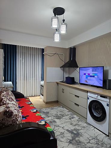 46: 1 комната, 46 м², Филармония Элитка, 2 этаж, Дизайнерский ремонт — 1