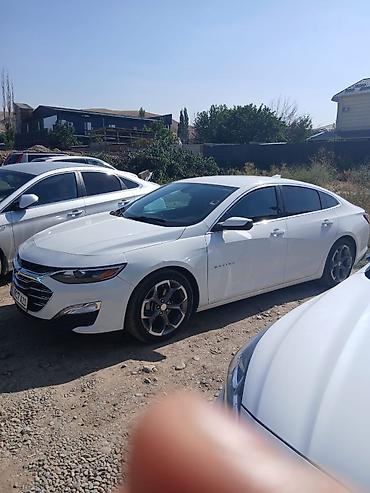 shevrolet lacetti: Chevrolet Malibu: 2020 г., 1.5 л, Автомат, Бензин, Седан — 3