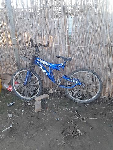 SİM-kartlar: Nömrə: ( 051 ) ( 9178236 ) — 19