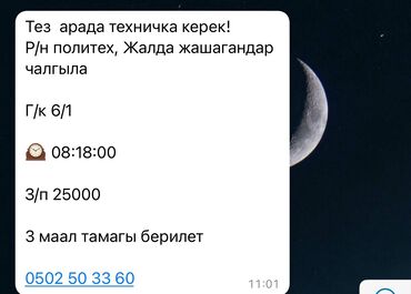 требуется посудомойщица в кафе: Талап кылынат Тазалоочу, Төлөм Бир айда эки жолу