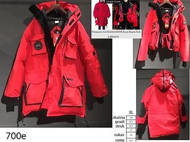 Zimske jakne: TOP MODELI C.GOOSE JAKNI, MODEL CITADEL, ULTRA HIT | Novo! ! ! — 1