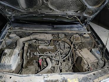 Volkswagen: Volkswagen Golf: 1992 г., 1.8 л, Механика, Бензин, Хэтчбэк — 10