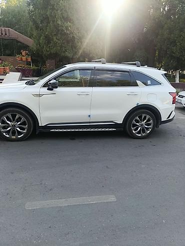 Kia: Kia Sorento: 2020 г., 2.2 л, Автомат, Дизель, Кроссовер — 12