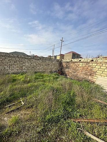 baki torpaq: 6 sot, Tikinti, Maklerlər narahat etməsin, Kupça (Çıxarış) — 4