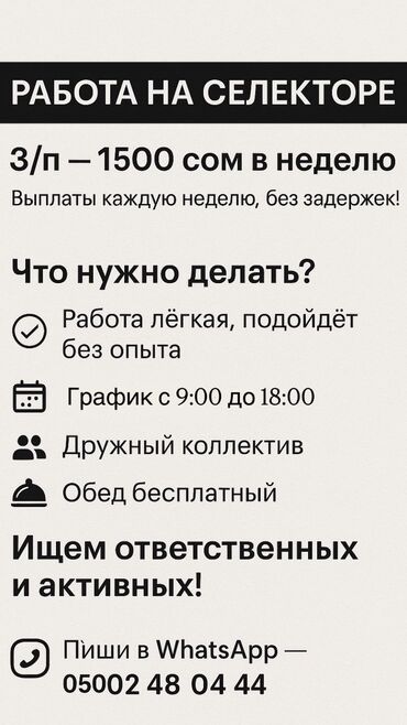 требуется сокулук: Предлагается работа на селекторе с еженедельной оплатой 1500 сом без