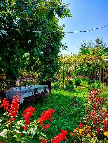 gəncədə 3 otaqlı ev: 🏡 Salam,Qəbələdə yerləşən rahat və geniş evimizi günlük kirayə — 3