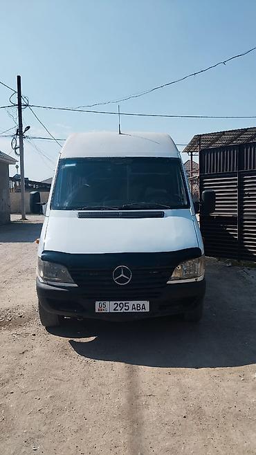 Mercedes-Benz: Mercedes-Benz Спринтер: 2003 г., Бус — 1