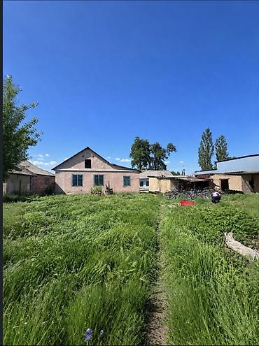 сдаю гагарина: 📍 В Гавриловке по первой линии трассы продаётся дом на участке 9 — 2