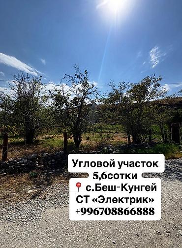 парик сатылат: Продаю угловой дачный участок по 1-линии реки (перед участком) 📍 с — 1