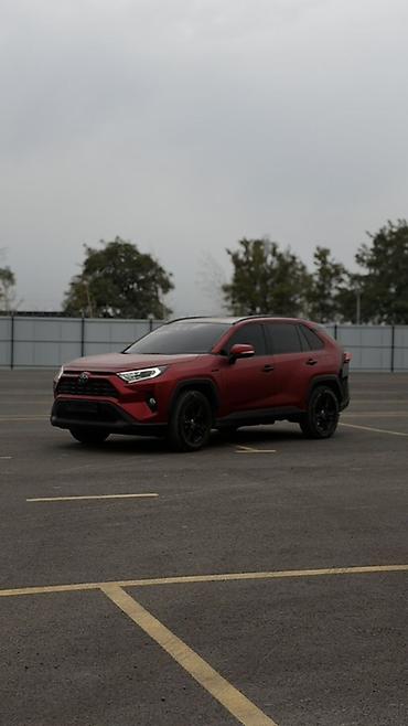 rav4 2008: Toyota RAV4: 2019 г., 2.5 л, Автомат, Гибрид, Кроссовер — 5