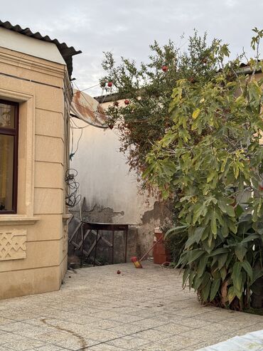 Həyət evləri və villaların satışı: Binəqədi qəs. 3 otaqlı, 100 kv. m, Kredit yoxdur, Yeni təmirli -da lalafo.az — 24 Həyət evləri və villaların satışı: Binəqədi qəs. 3 otaqlı, 100 kv. m, Kredit yoxdur, Yeni təmirli — 24