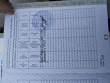 базарить: 200 соток, Для сельского хозяйства, Генеральная доверенность — 2