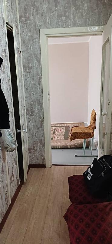 3 room flat: 2 комнаты, Городок строителей Собственник, Без животных, от 6 месяцев, Без мебели — 2