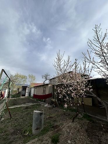 Продажа коттеджей и домов: Продается жилой дом с большим земельным участком и хозяйственным — 4