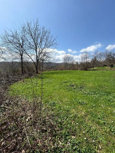 Torpaq sahələrinin satışı: 20 sot, Kənd təsərrüfatı, Mülkiyyətçi, Kupça (Çıxarış) — 5