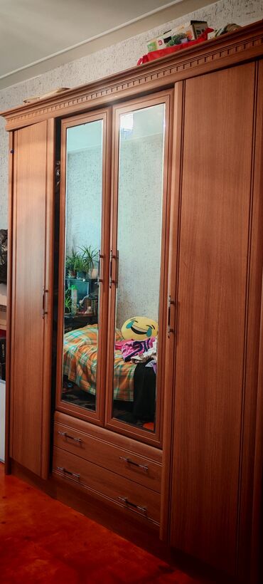 su çənləri satışı: İşlənmiş, Açılan, 4 qapılı Düz dolab, Qarderob, paltar dolabı