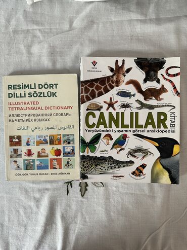 турецкая книга: Детский словарь на четырех языках, турецкий, арабский, английский